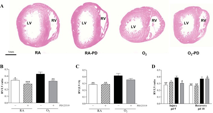 Fig. 9.