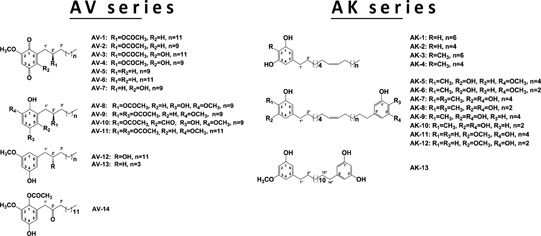 graphic file with name oncotarget-05-6087-t001.jpg