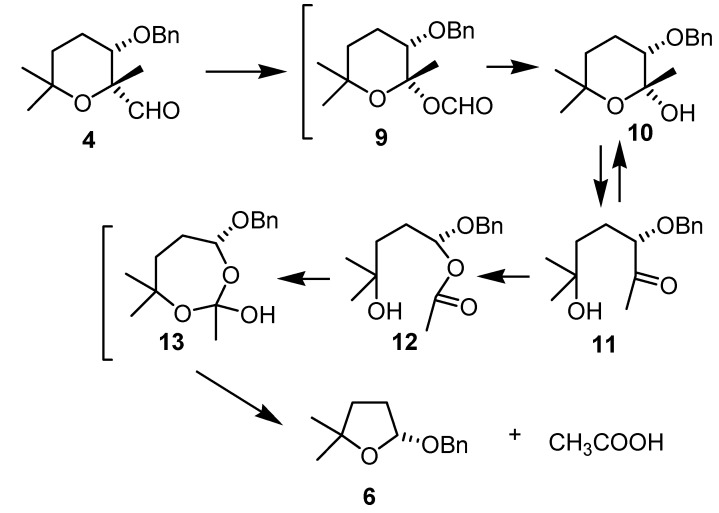 Scheme 5