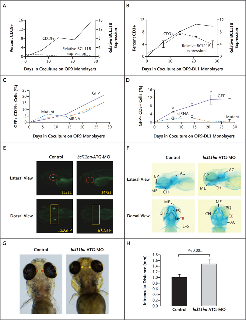 Figure 2 (facing page)