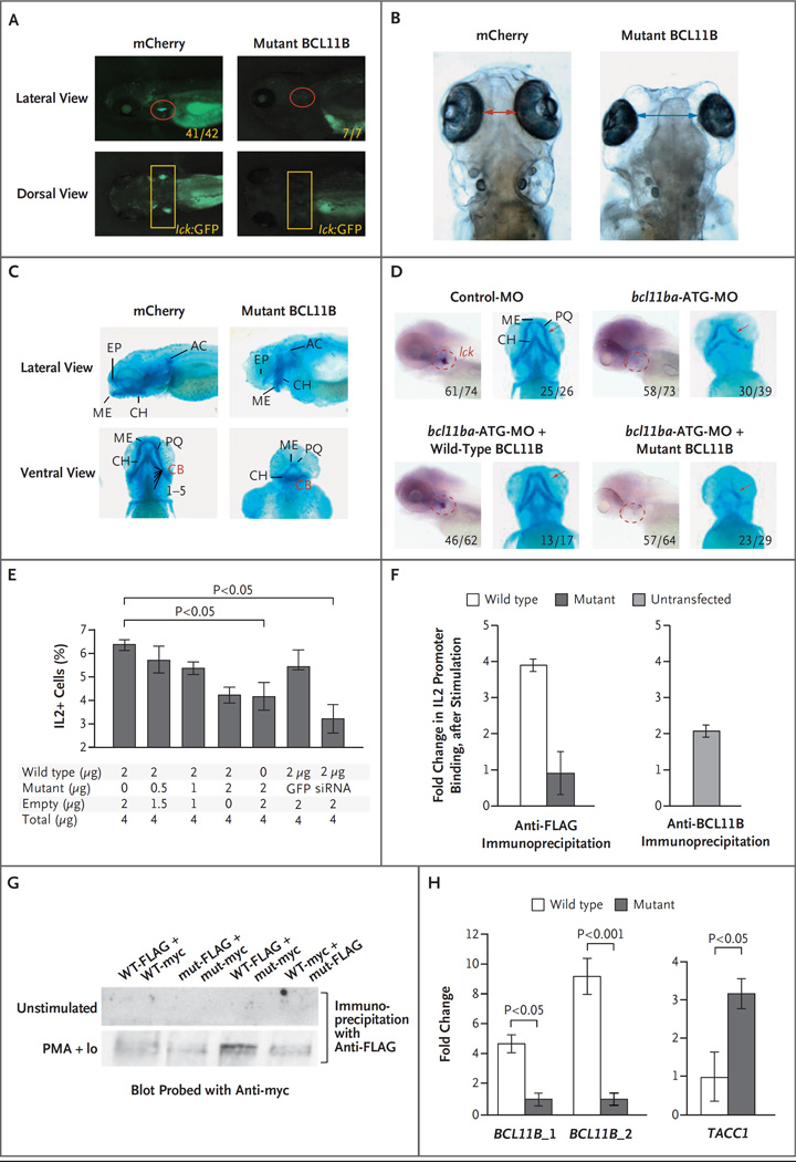 Figure 3 (facing page)