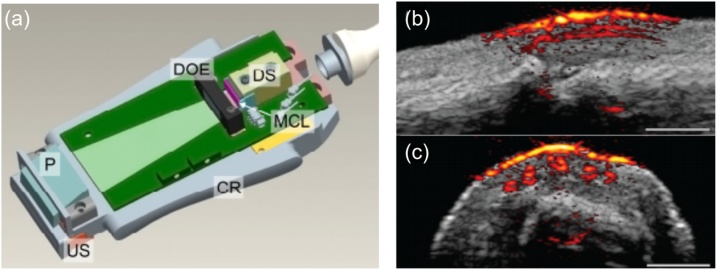 Fig. 3