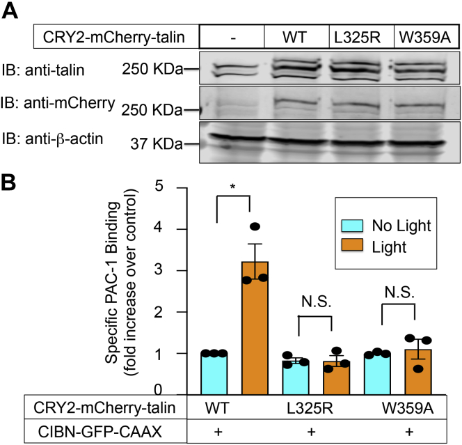 Figure 2