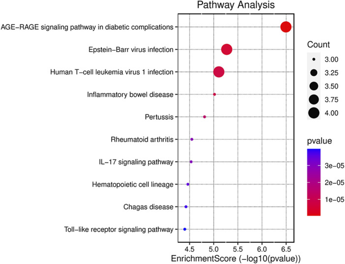 FIGURE 5