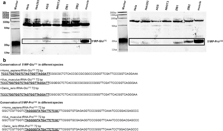 Fig. 6