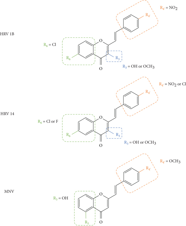 Figure 21