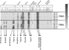 FIG. 3.