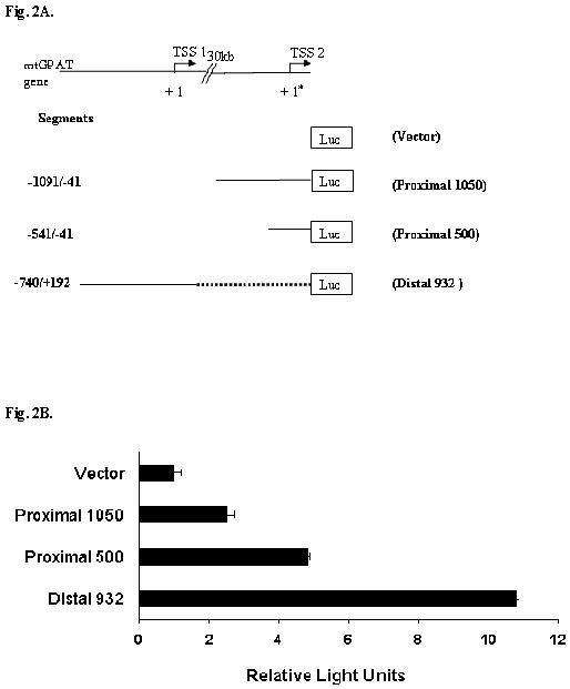 Fig.2