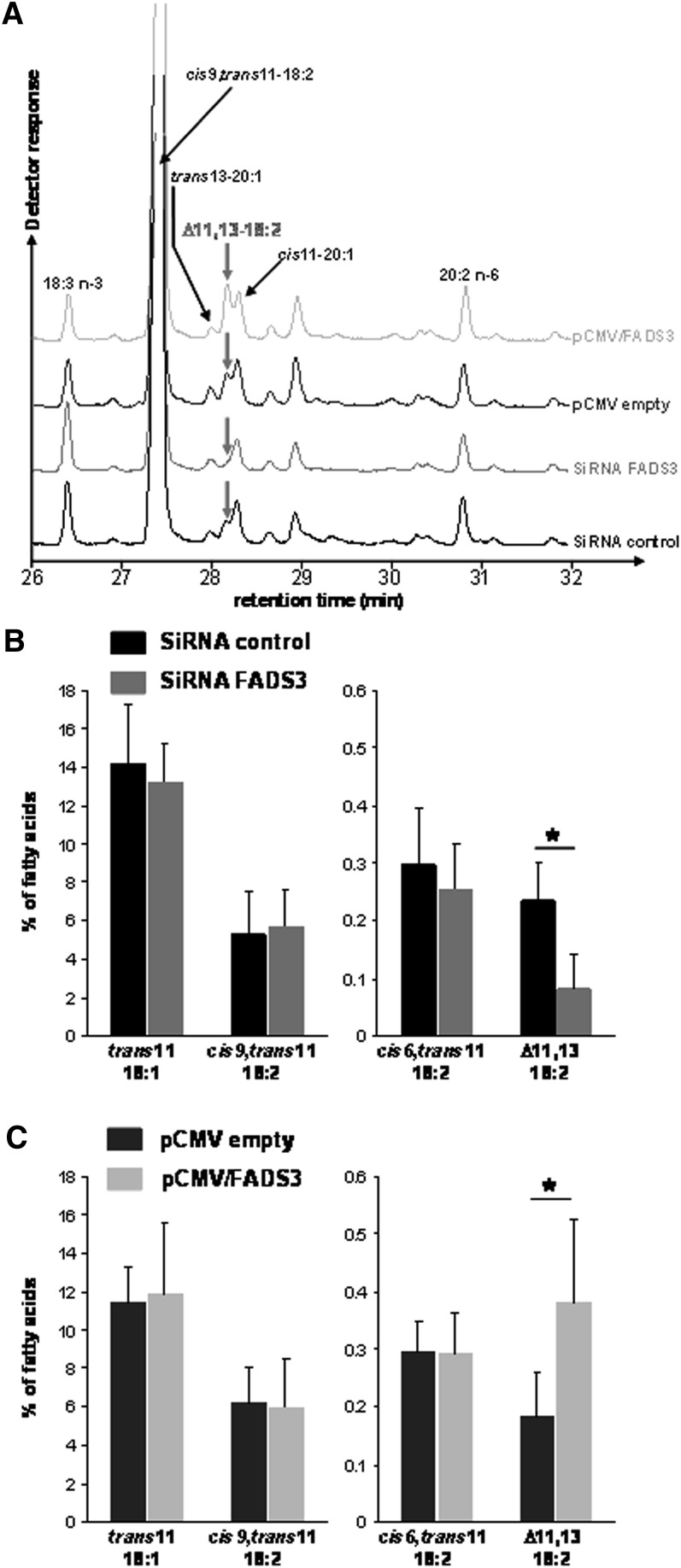 Fig. 10.