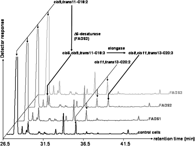 Fig. 3.