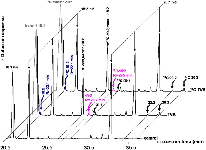 Fig. 7.