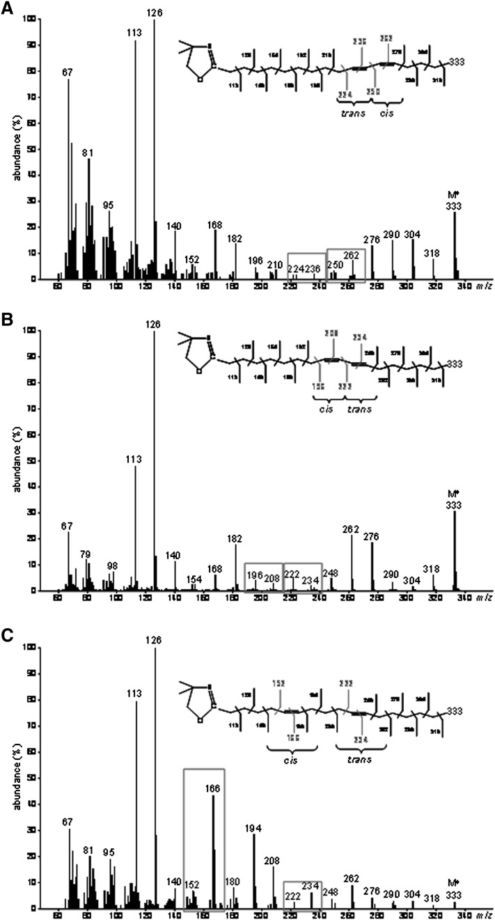 Fig. 8.