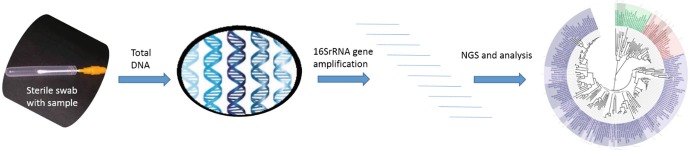 Fig. 17.1