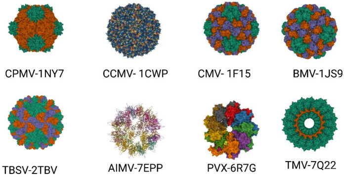 Figure 2