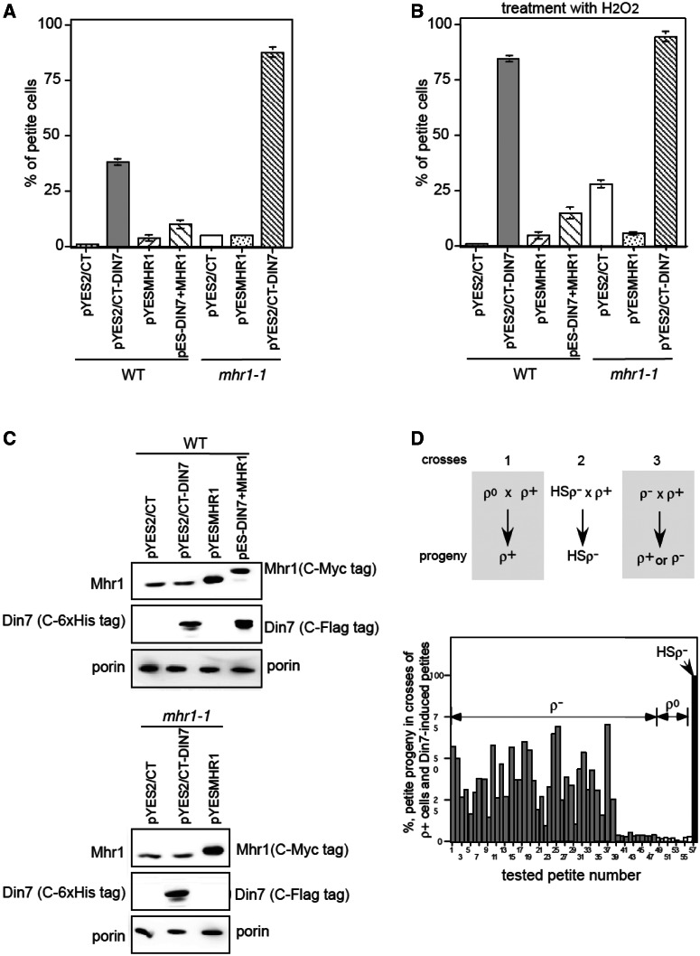 Figure 6.
