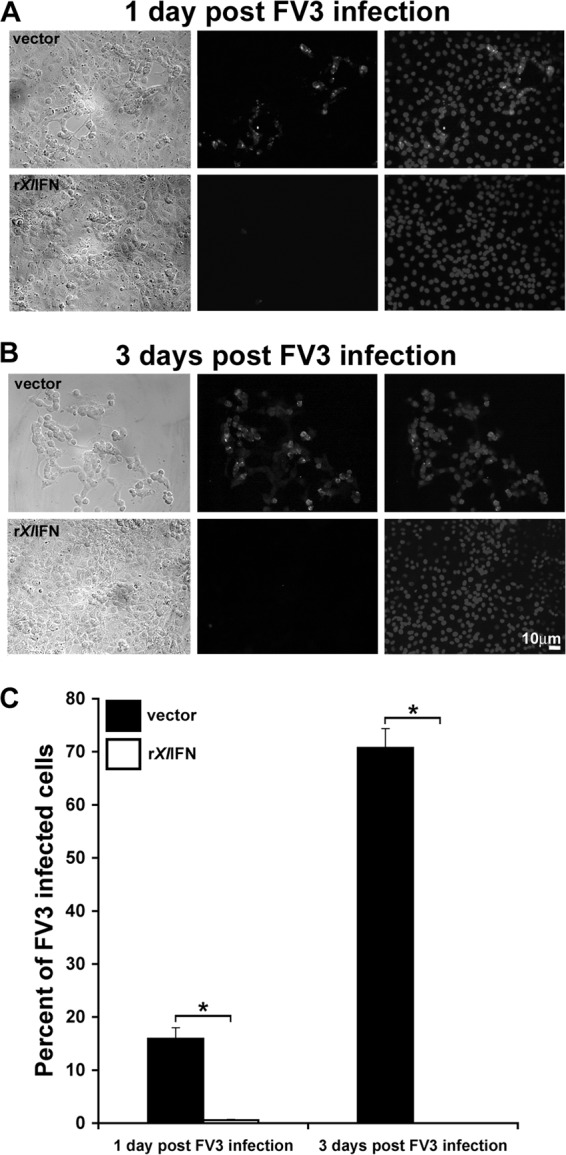 FIG 2