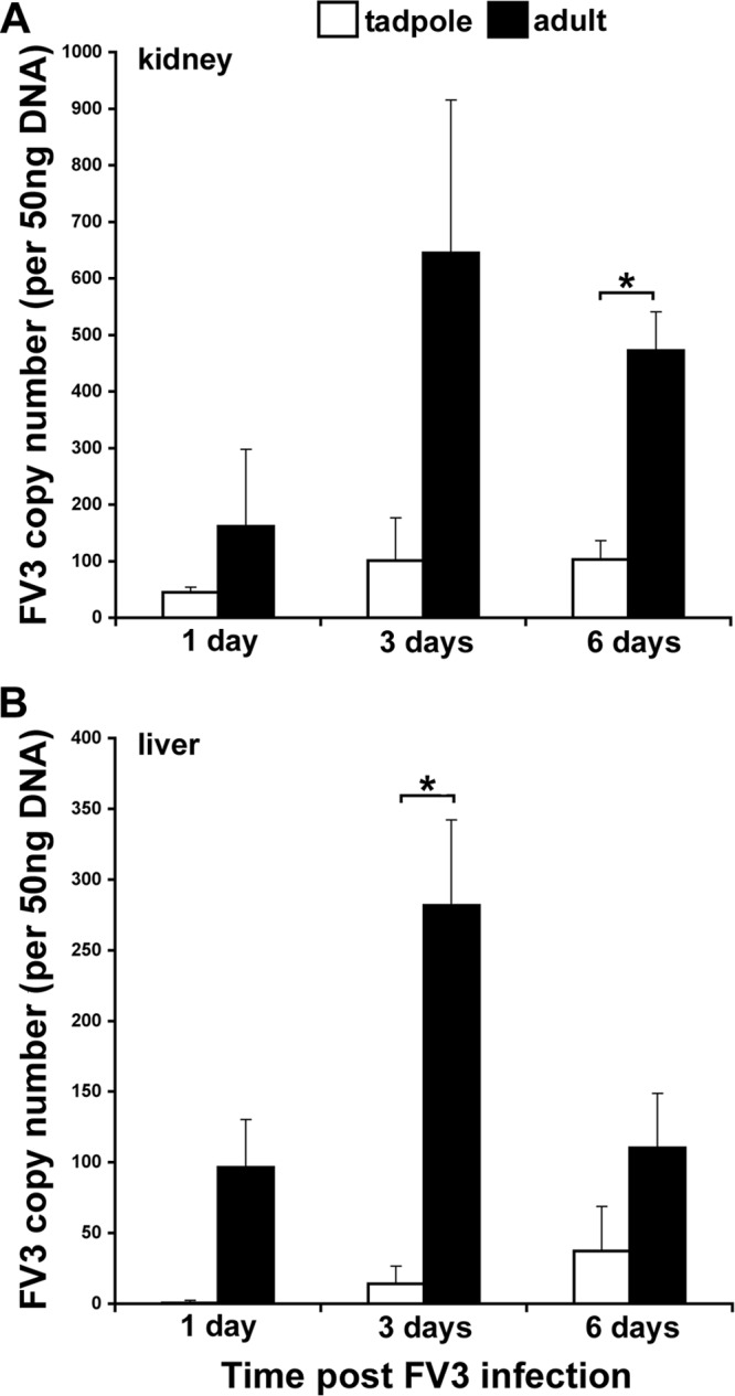 FIG 7