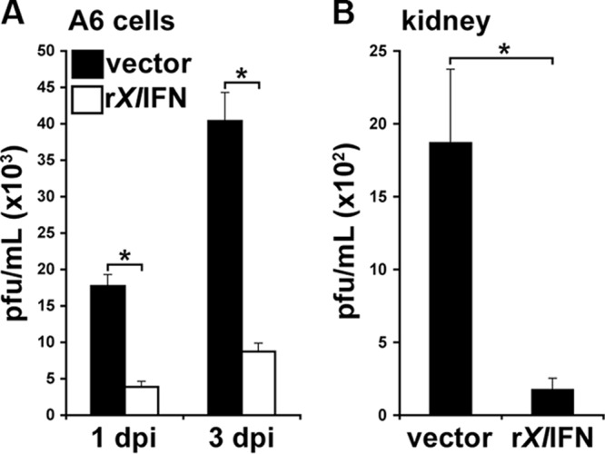 FIG 5