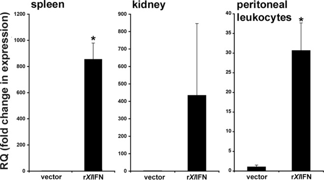 FIG 3