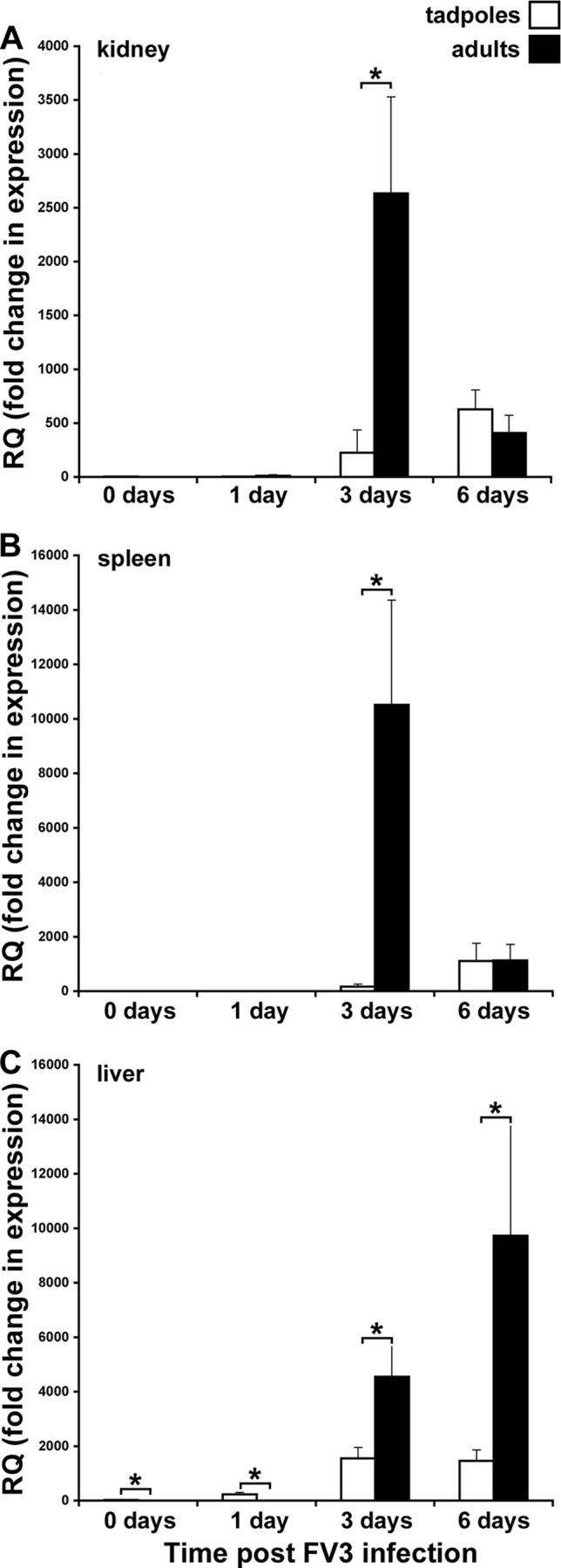 FIG 6