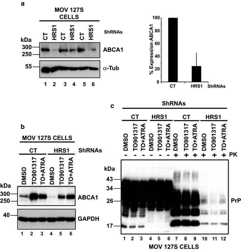 Fig. 4