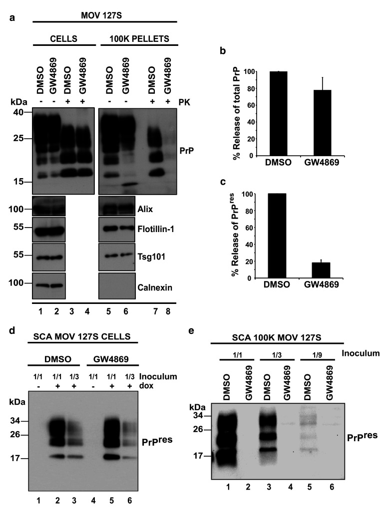 Fig. 7