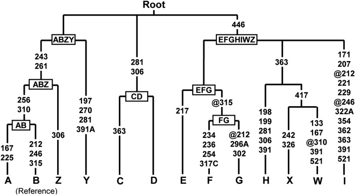 Fig. 1.