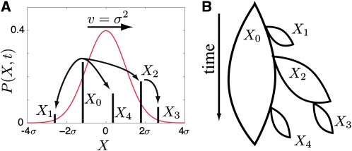 Figure 1.—