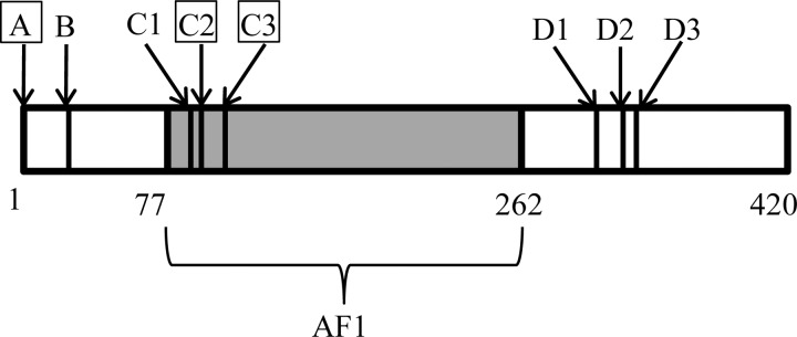 FIGURE 1.