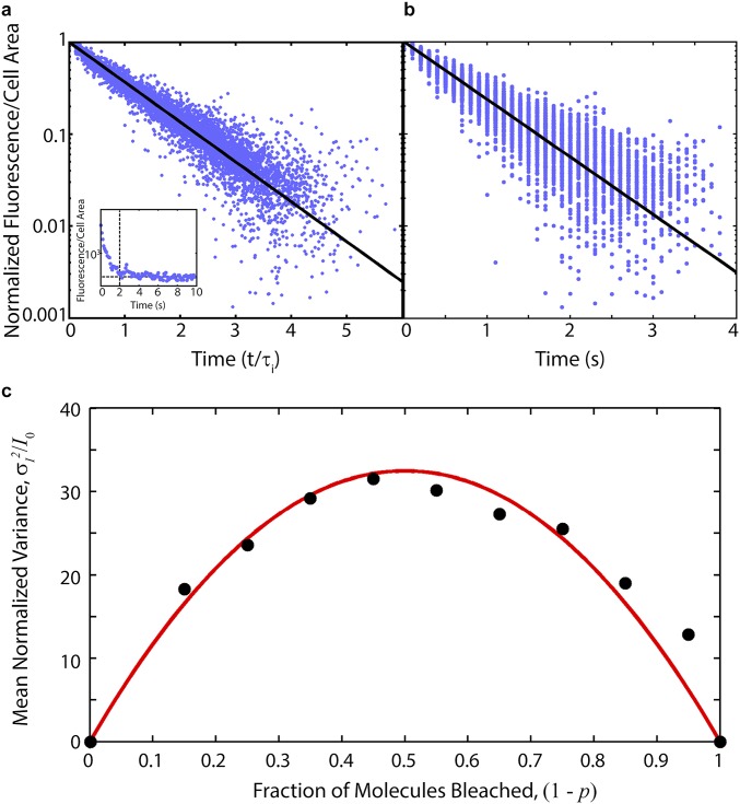 Fig. S4.