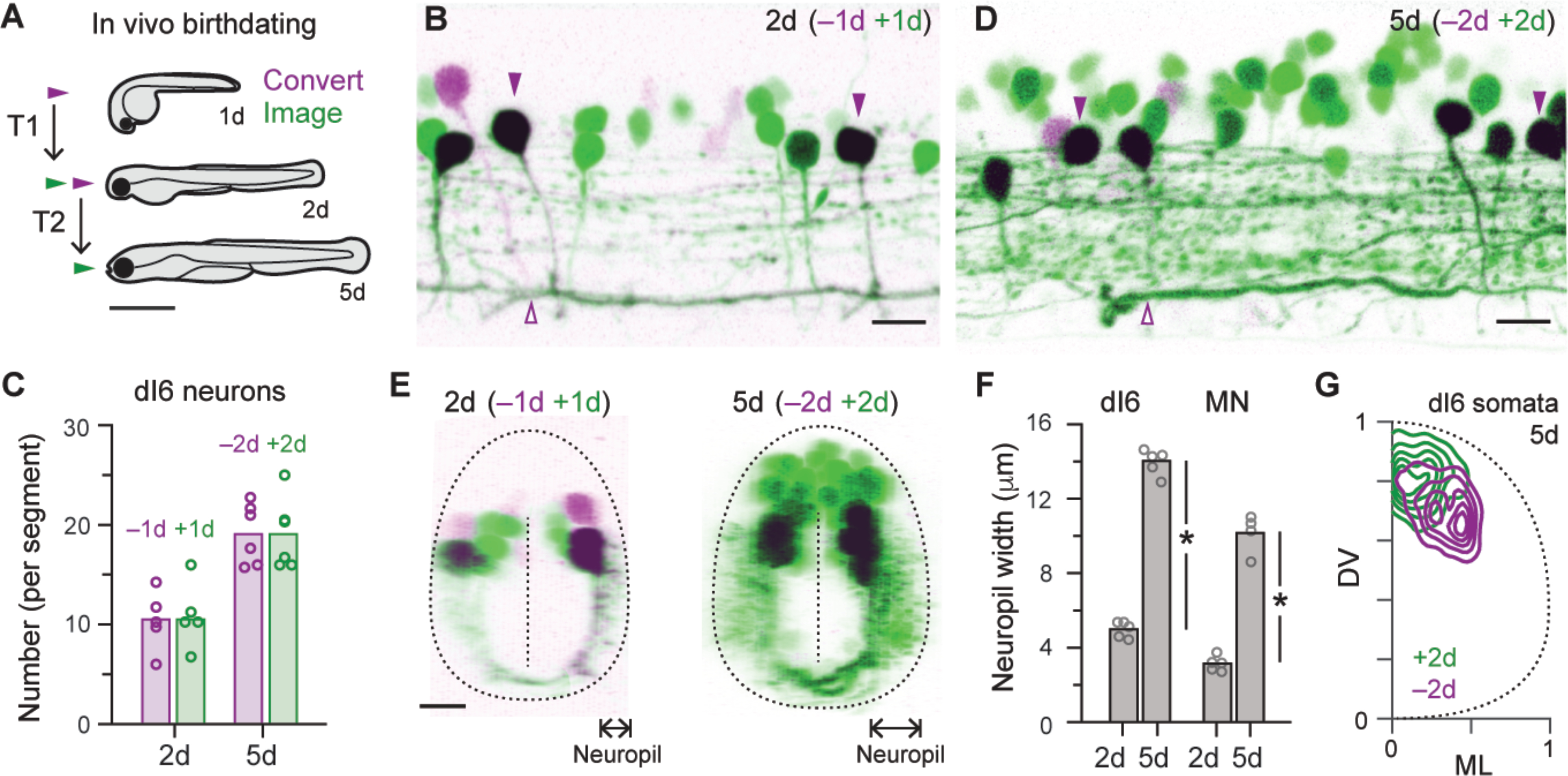 Fig 3.