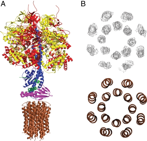 Fig. 1.