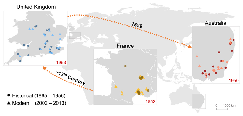 Fig. 1