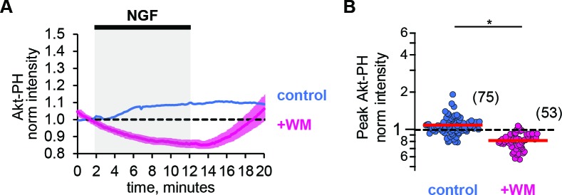 Figure 2—figure supplement 2.