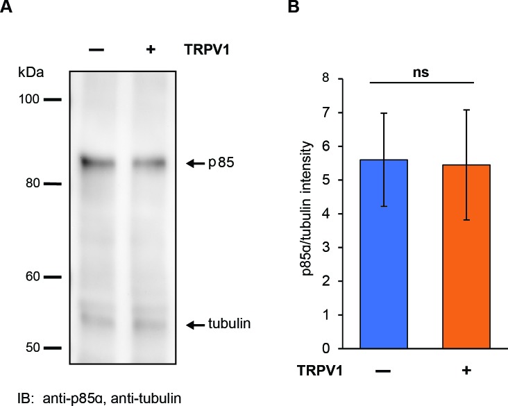 Figure 2—figure supplement 3.