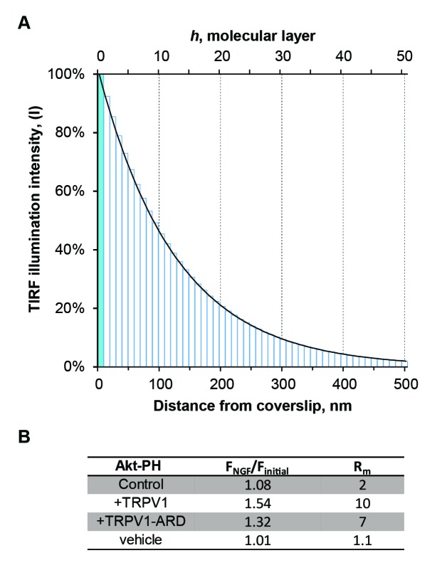 Figure 1—figure supplement 4.