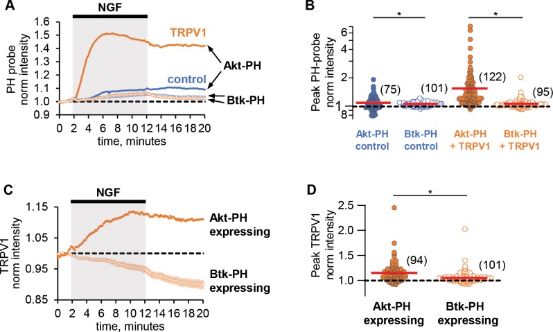 Figure 1—figure supplement 1.