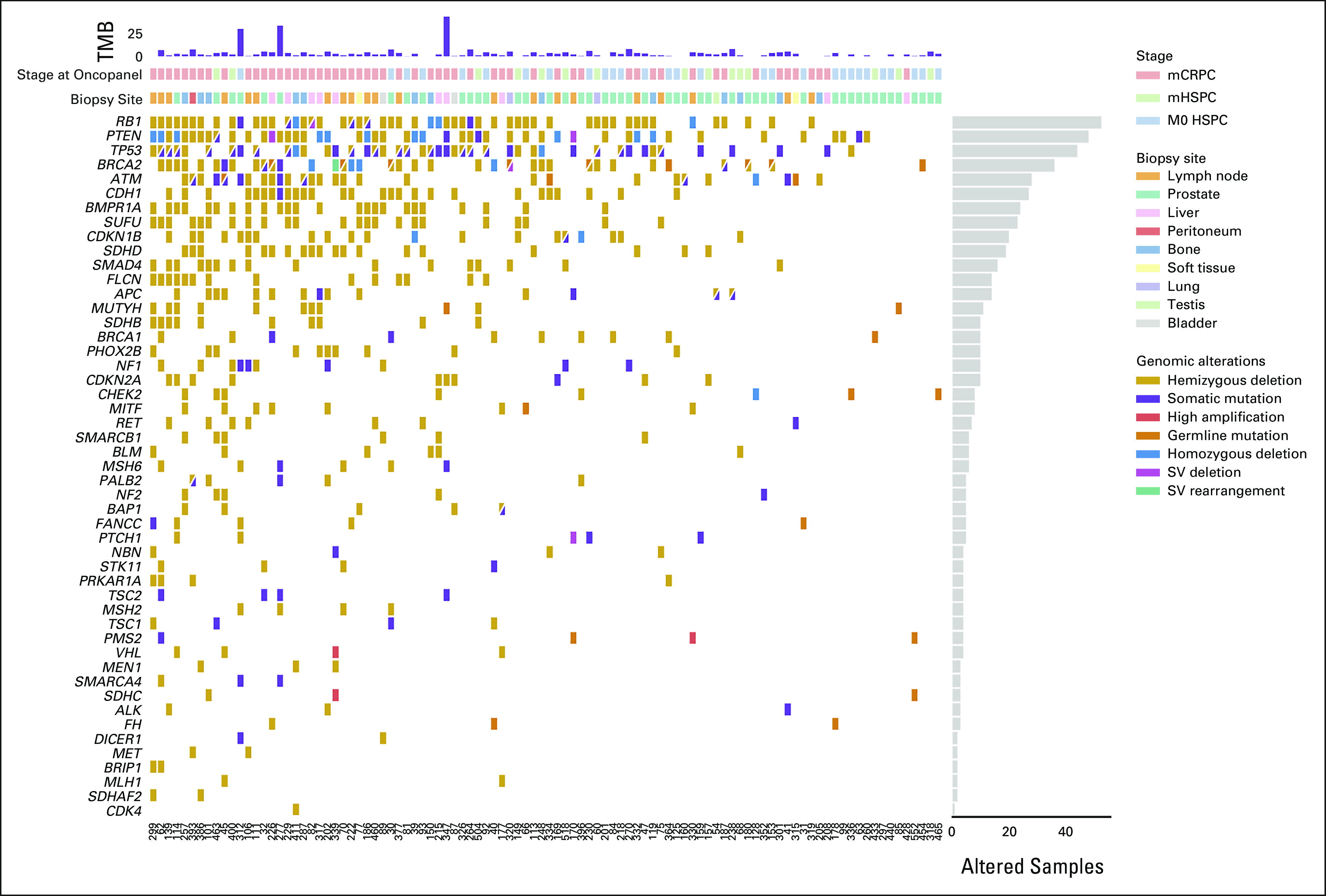 FIG A2.