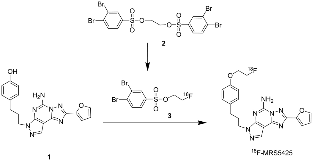 Scheme 2