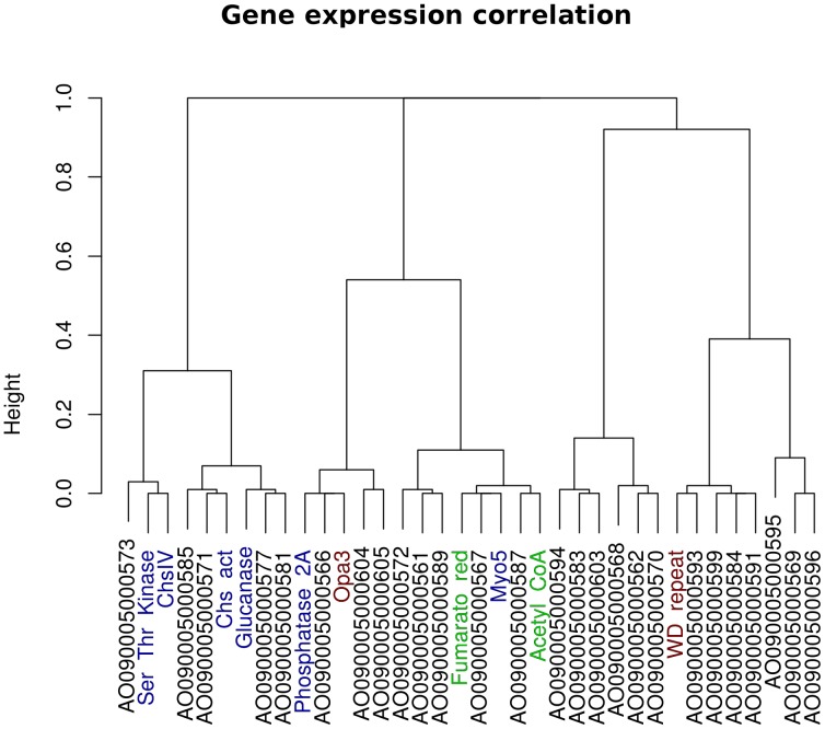 Figure 5