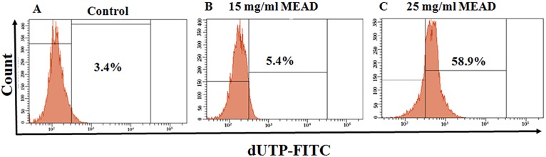 Fig 5