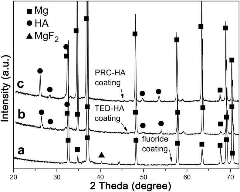 Fig. 4