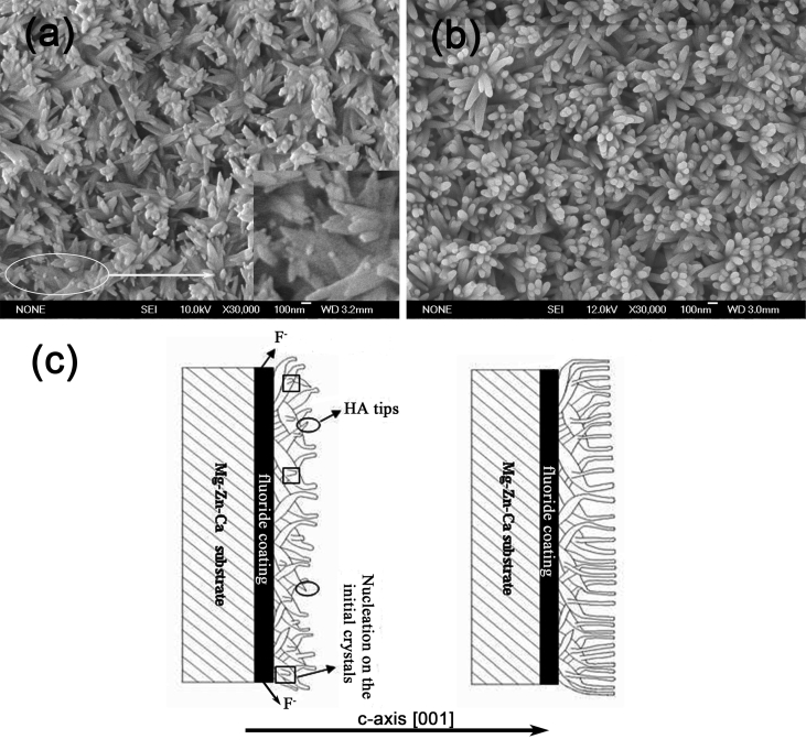 Fig. 7