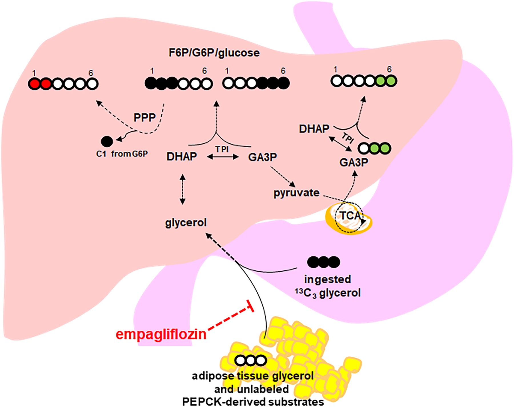 Figure 6.