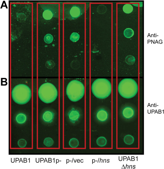 FIG 2