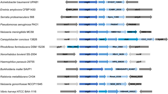 FIG 10