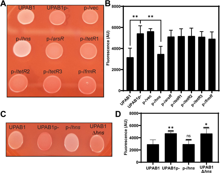 FIG 1