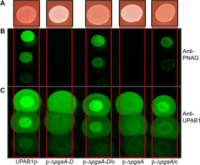 FIG 4