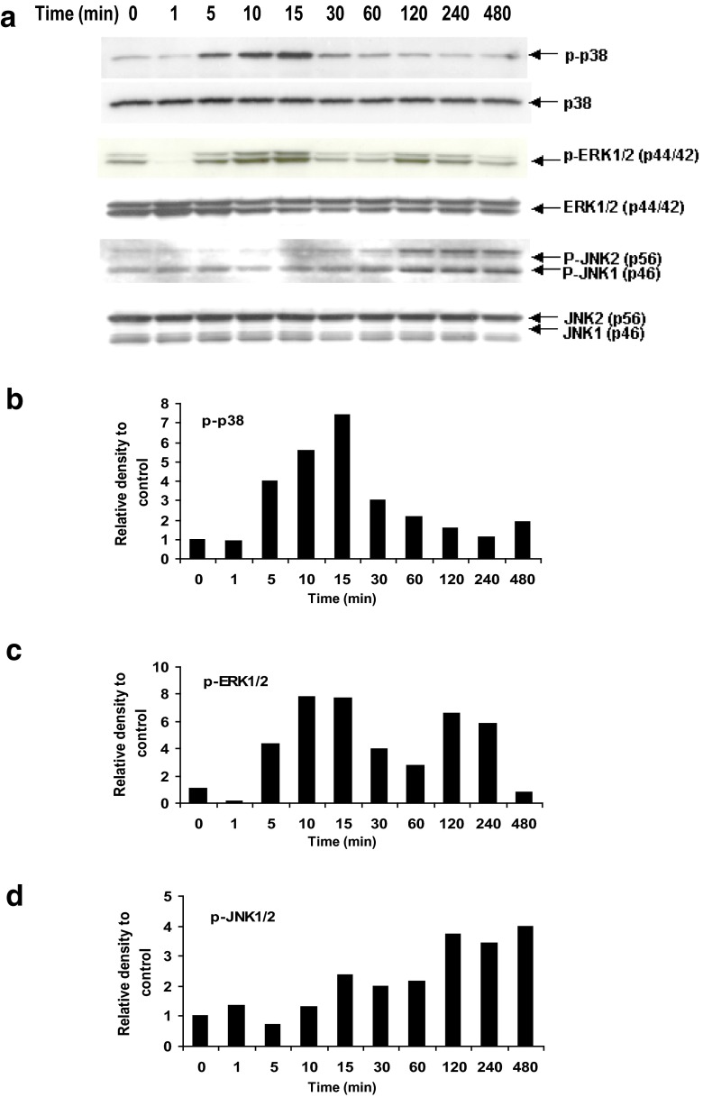 Fig. 2