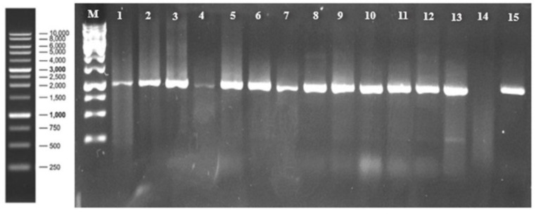 Figure 6